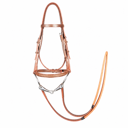 Stitched racing bridle