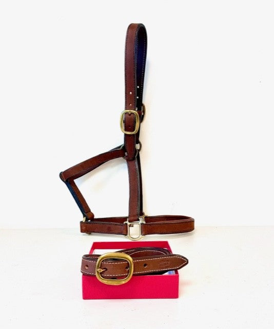 Ceinture Licol en cuir avec boucle de licol