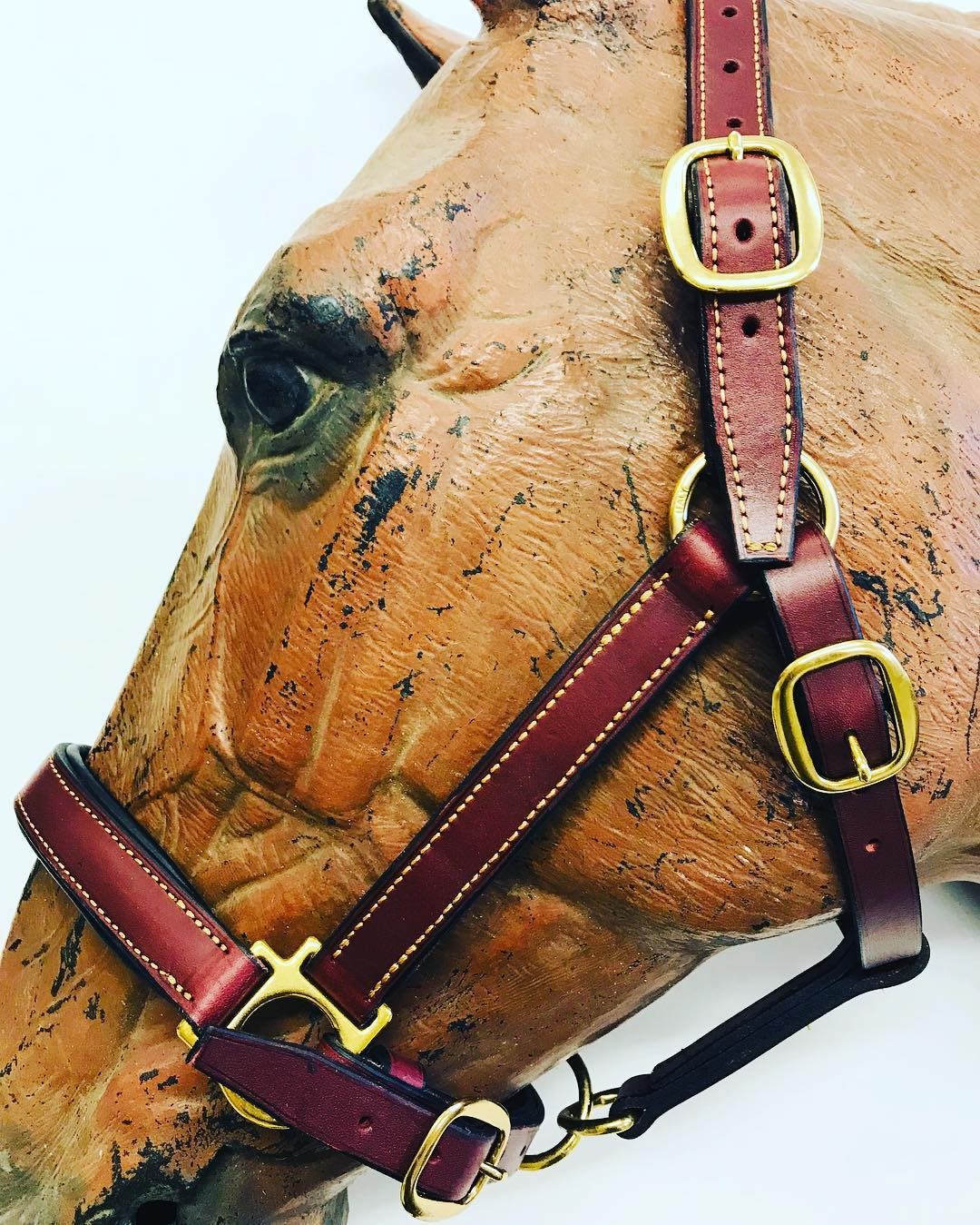 Licol de présentation en cuir avec muserolle piquée et bouclerie dorée – Sellerie Cassou
