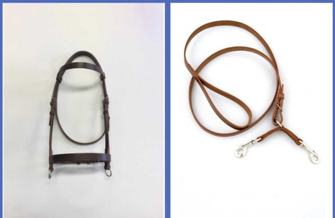 Licol de course avec longe en cuir pour cheval