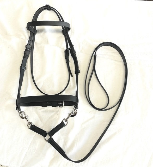 Licol de course et longe en biothane pour cheval