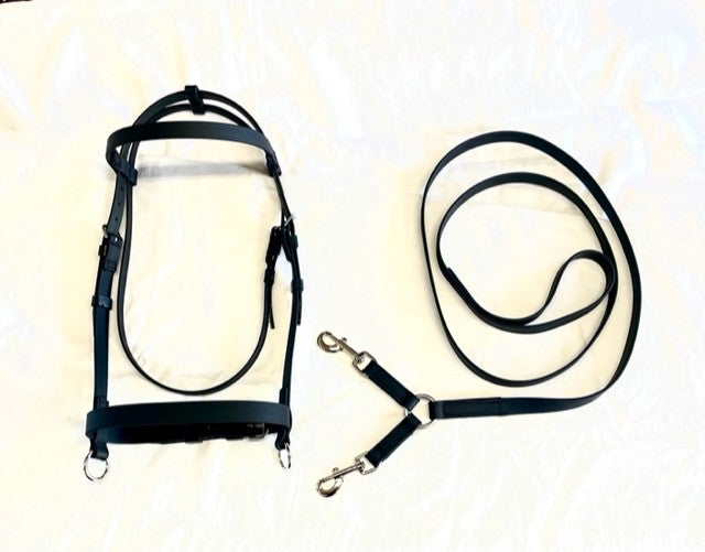 Licol de course et longe en biothane pour cheval