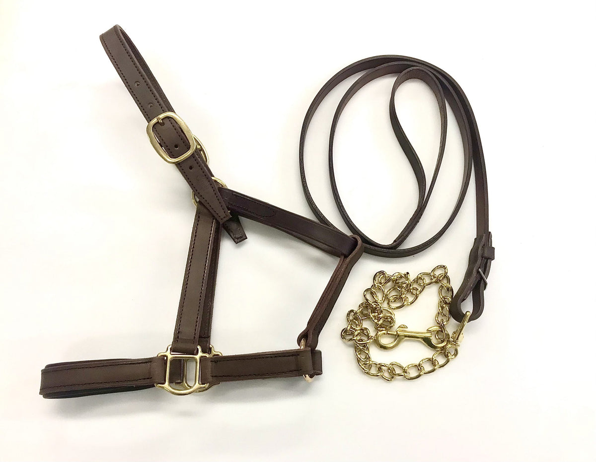 Licol et longe de présentation en cuir pour cheval