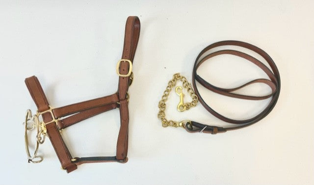 Licol et longe de présentation en cuir avec chifney