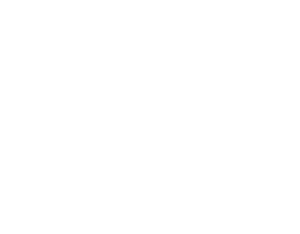 Sellerie Cassou