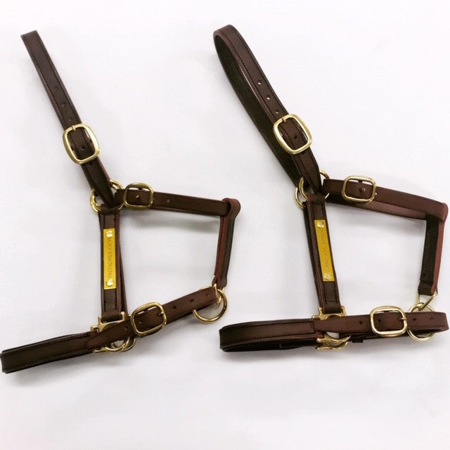 Show halter and leather double halter