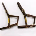 Show halter and leather double halter