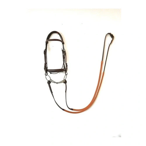 Irish Biothane Bridle
