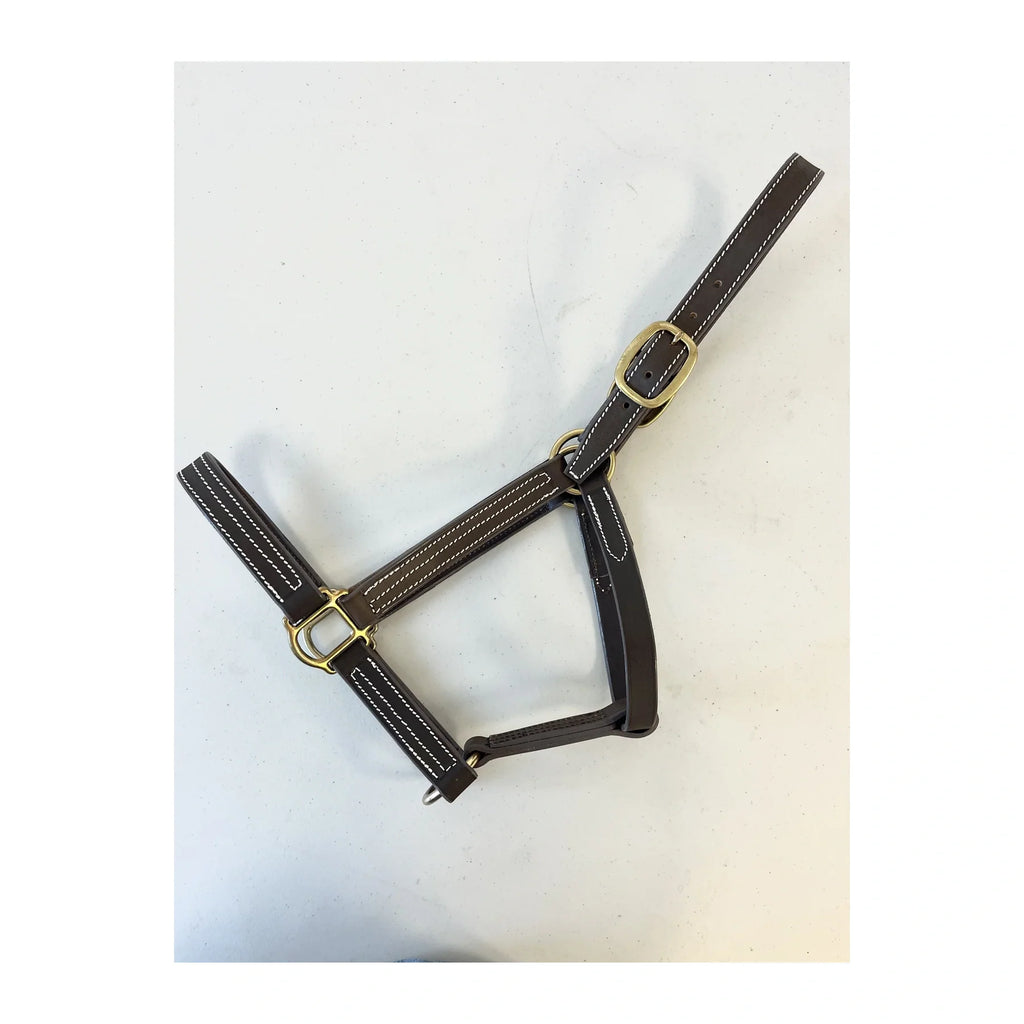 CASSOU Halter