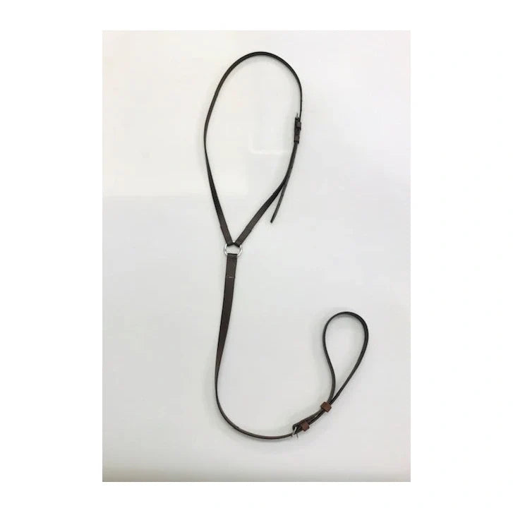 Collier de Martingale en Biothane — vue complète au format carré