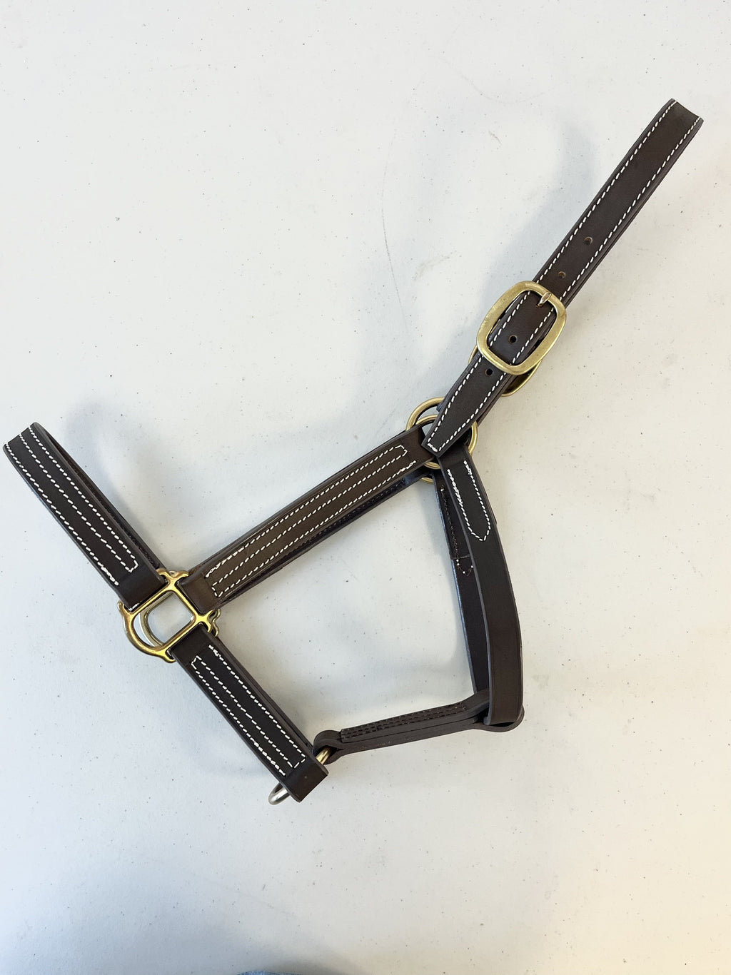 CASSOU Halter